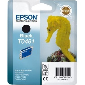Epson T0481